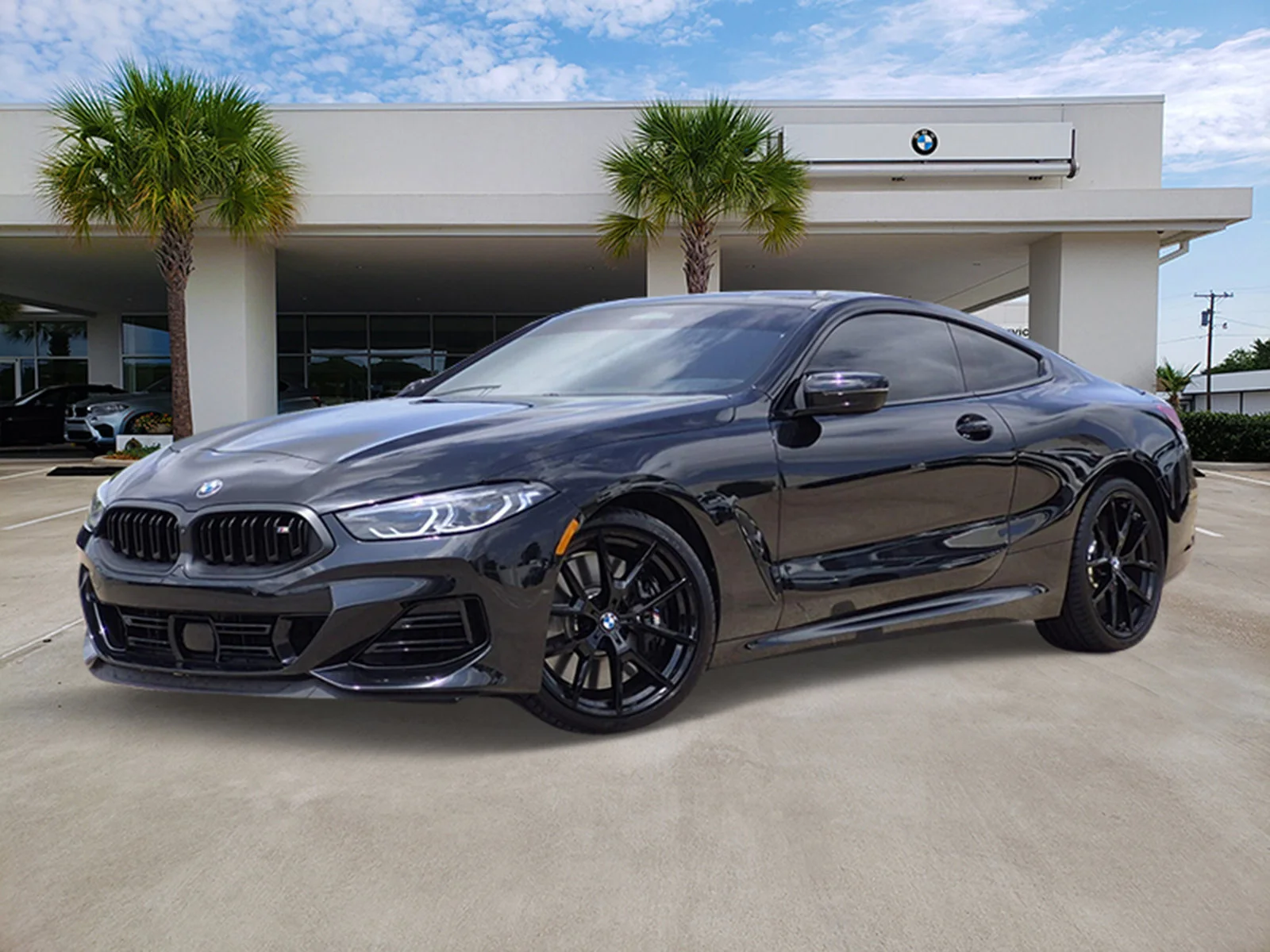 2026 BMW 8 Series M850i xDrive Coupe's photo