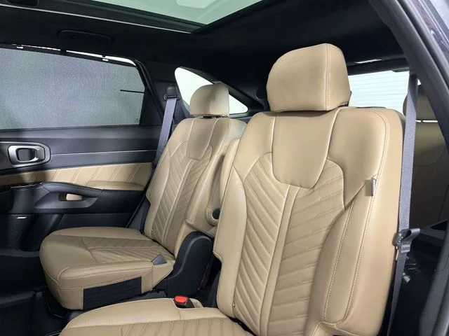 New 2026 Panthera Metal Kia X-Line SX Prestige AWD image 23