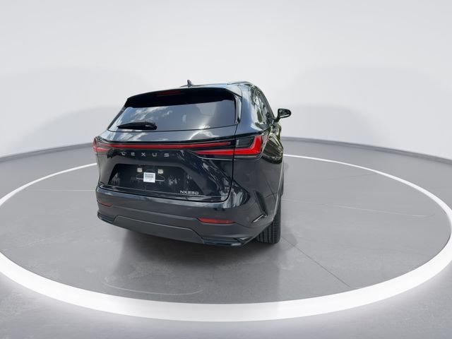 2023 Lexus NX 250 - Photo 7