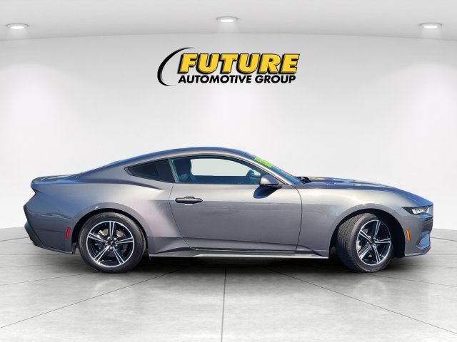 Used 2024 Gray Ford EcoBoost Premium image 3