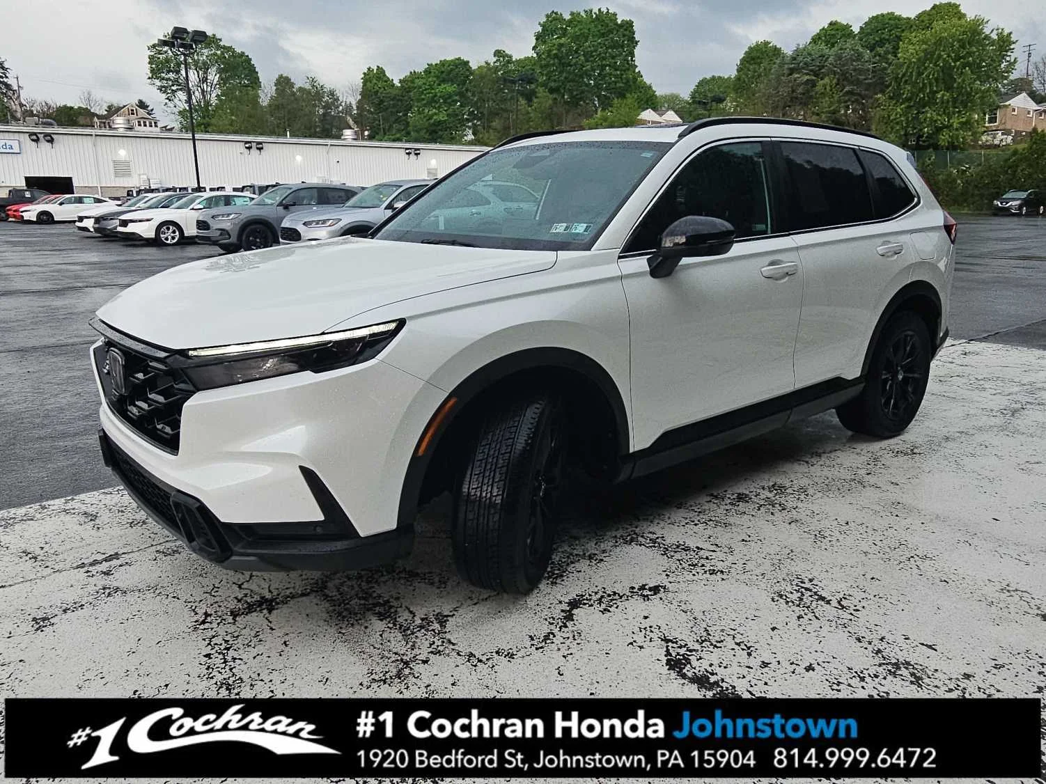 Used 2024 Platinum White Pearl Honda Sport-L image 3