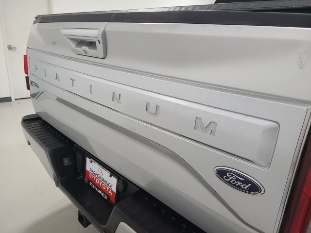 2016 Ford F-150 Platinum - Photo 8