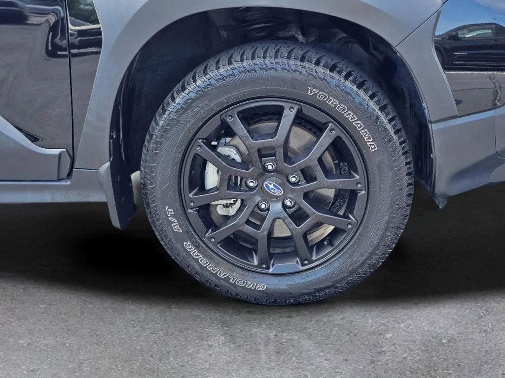 Used 2024  Subaru Wilderness image 6