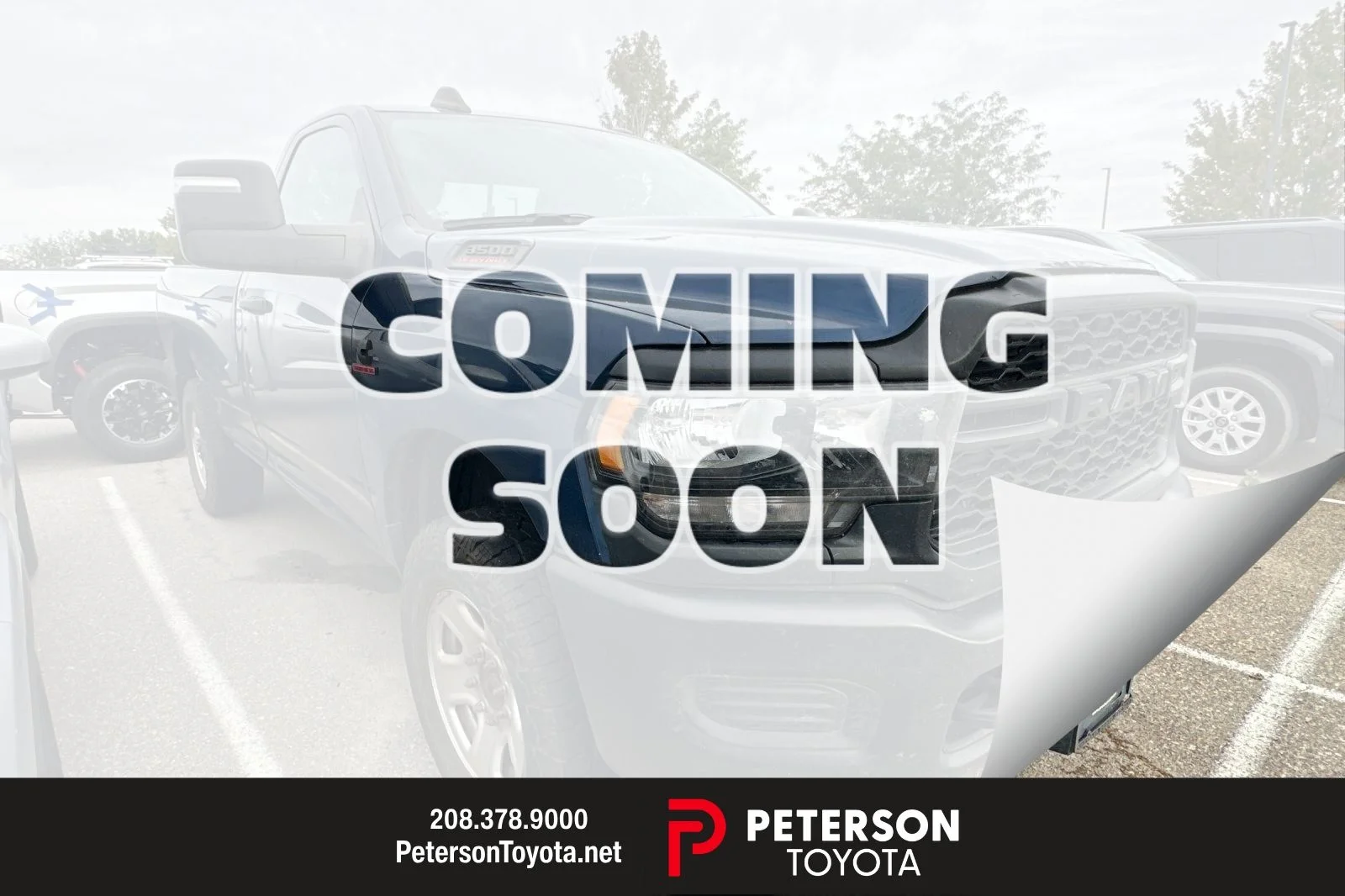 Used 2023 Blue Ram Tradesman image 1