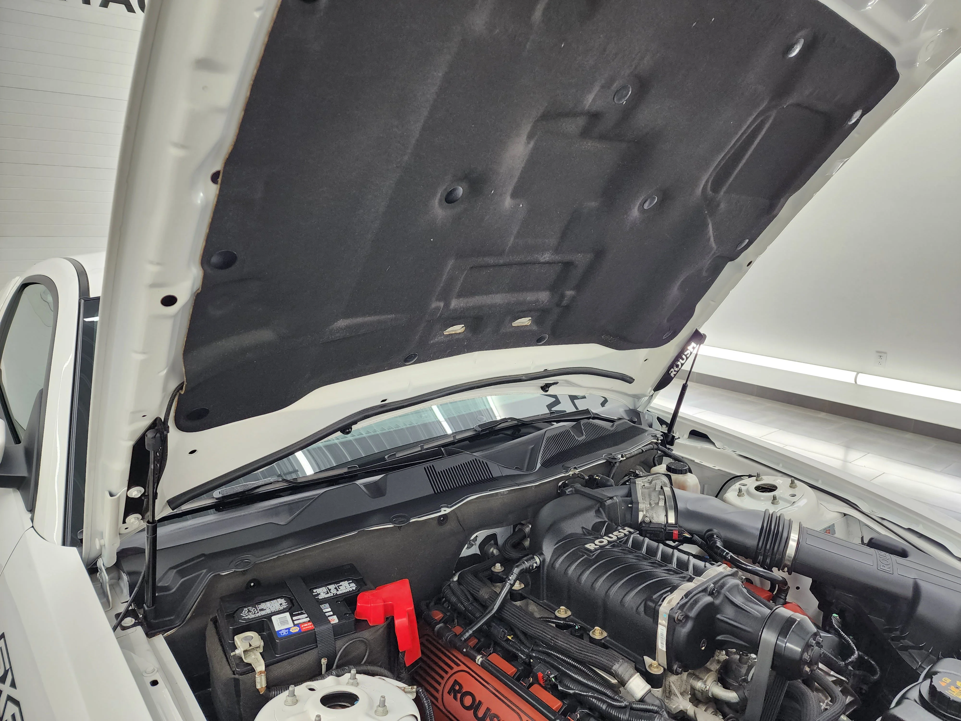 Used 2011 Performance White Ford GT Premium image 23