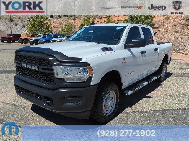 Used 2019 White Ram Tradesman image 1