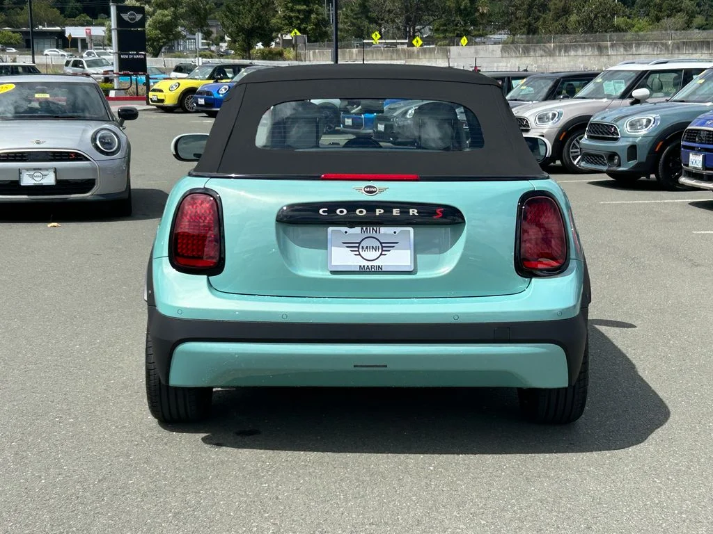 New 2026 Green MINI Signature Plus image 4
