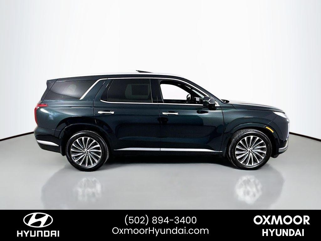 2025 Hyundai Palisade Calligraphy - Photo 8