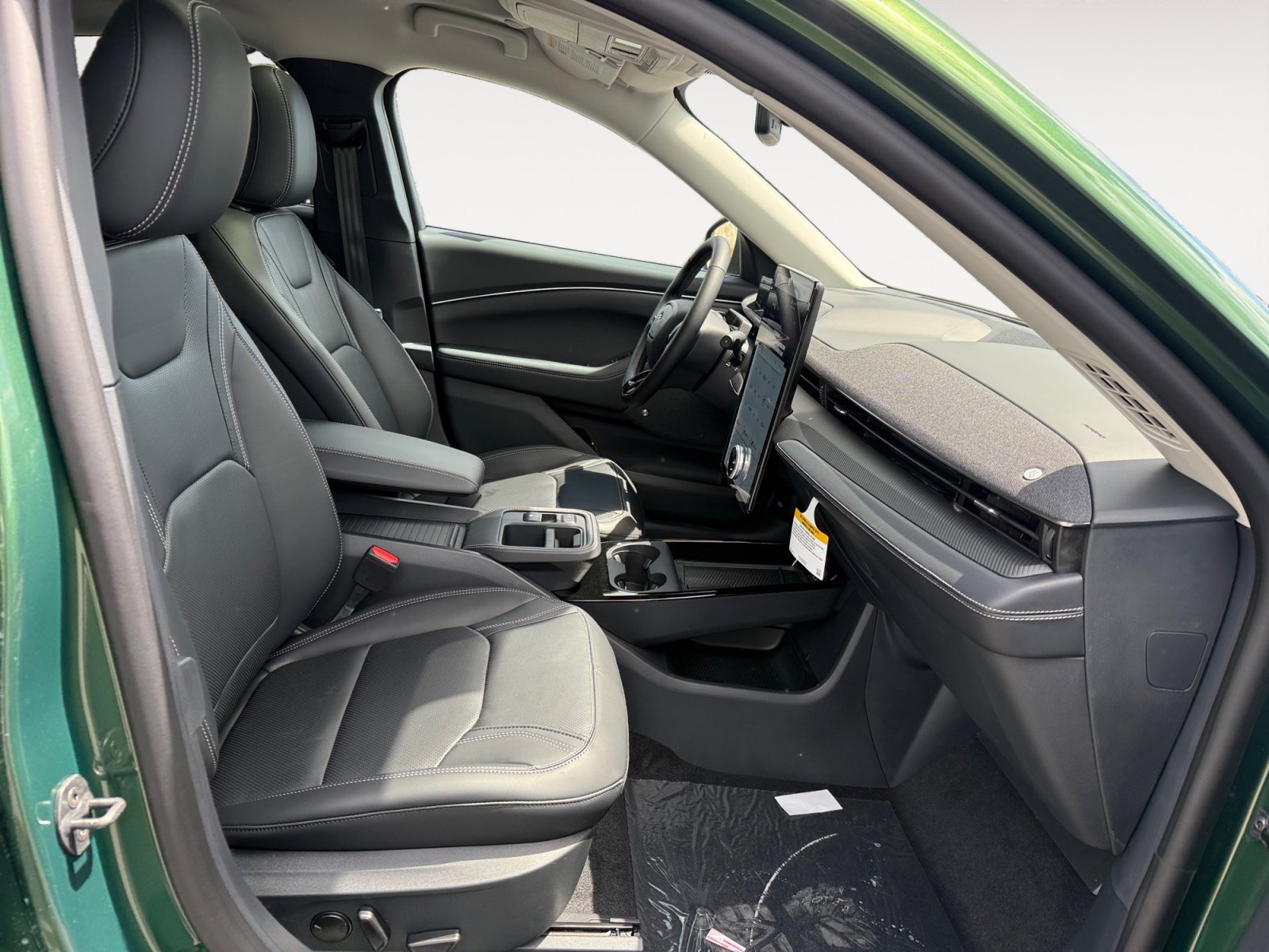 New 2026 Eruption Green Metallic Ford Premium image 19