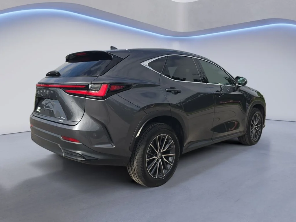Used 2022 Cloudburst Gray Lexus Premium image 6