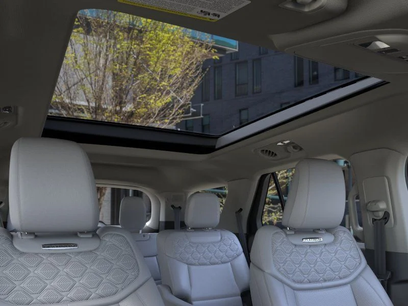 New 2026 Black Ford Platinum image 22