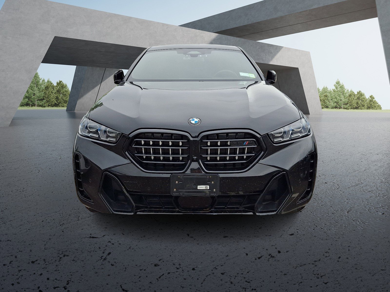 2025 BMW X6 xDrive40i's photo