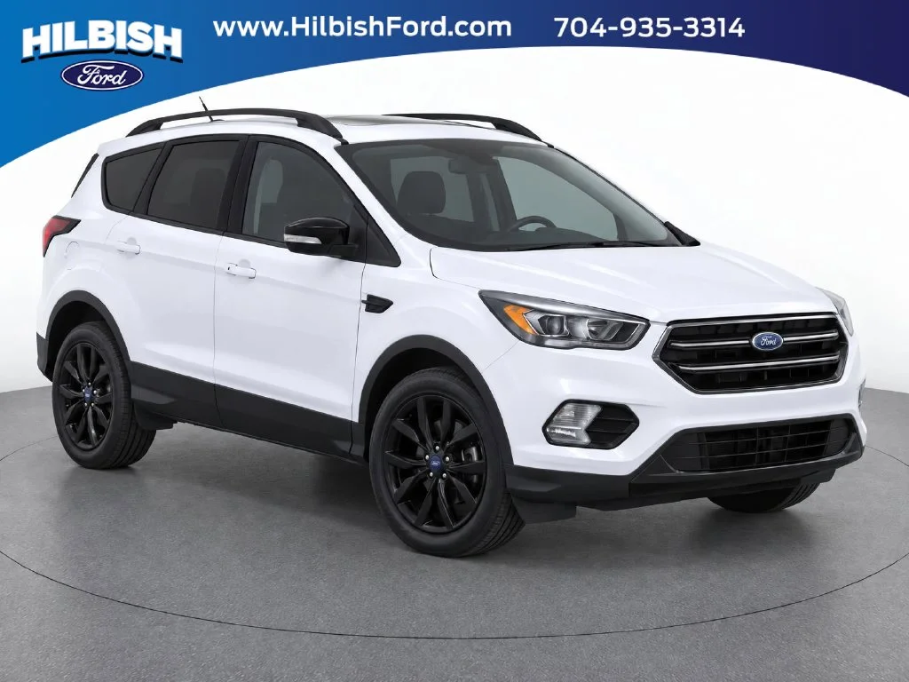 Used 2017 White Ford Titanium image 1