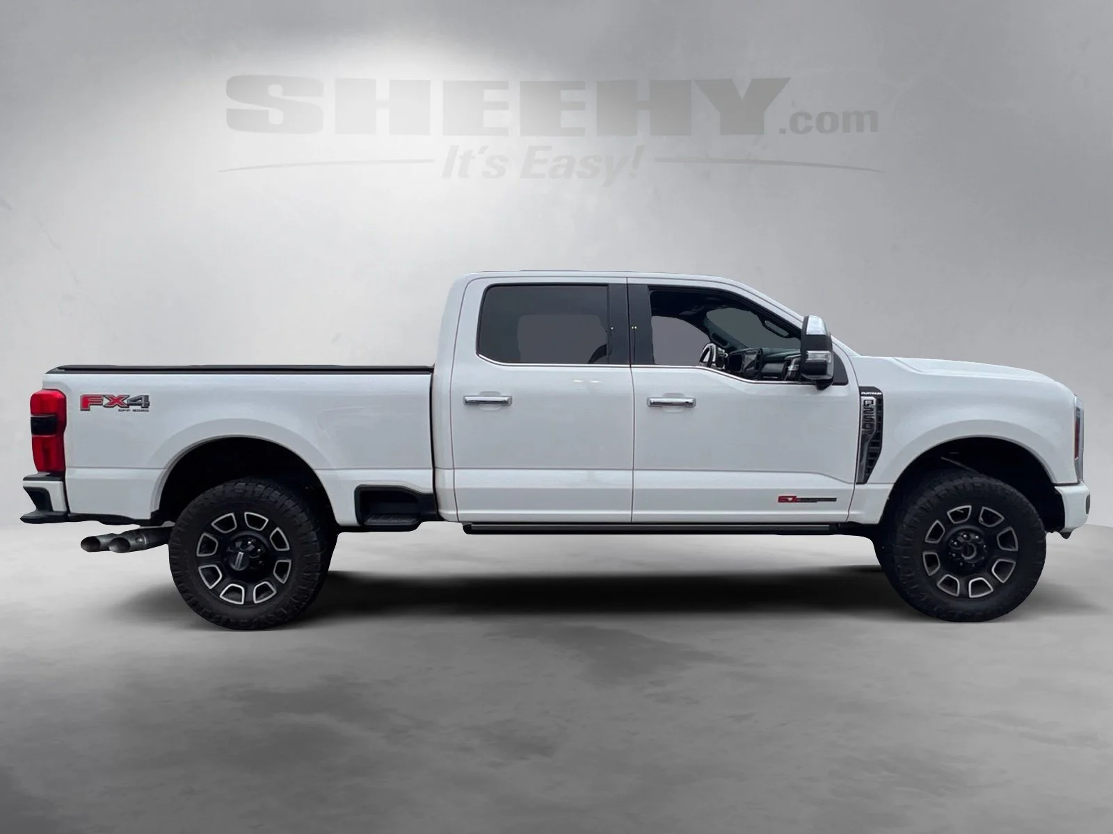 Certified Used 2024 Star White Ford Platinum image 10