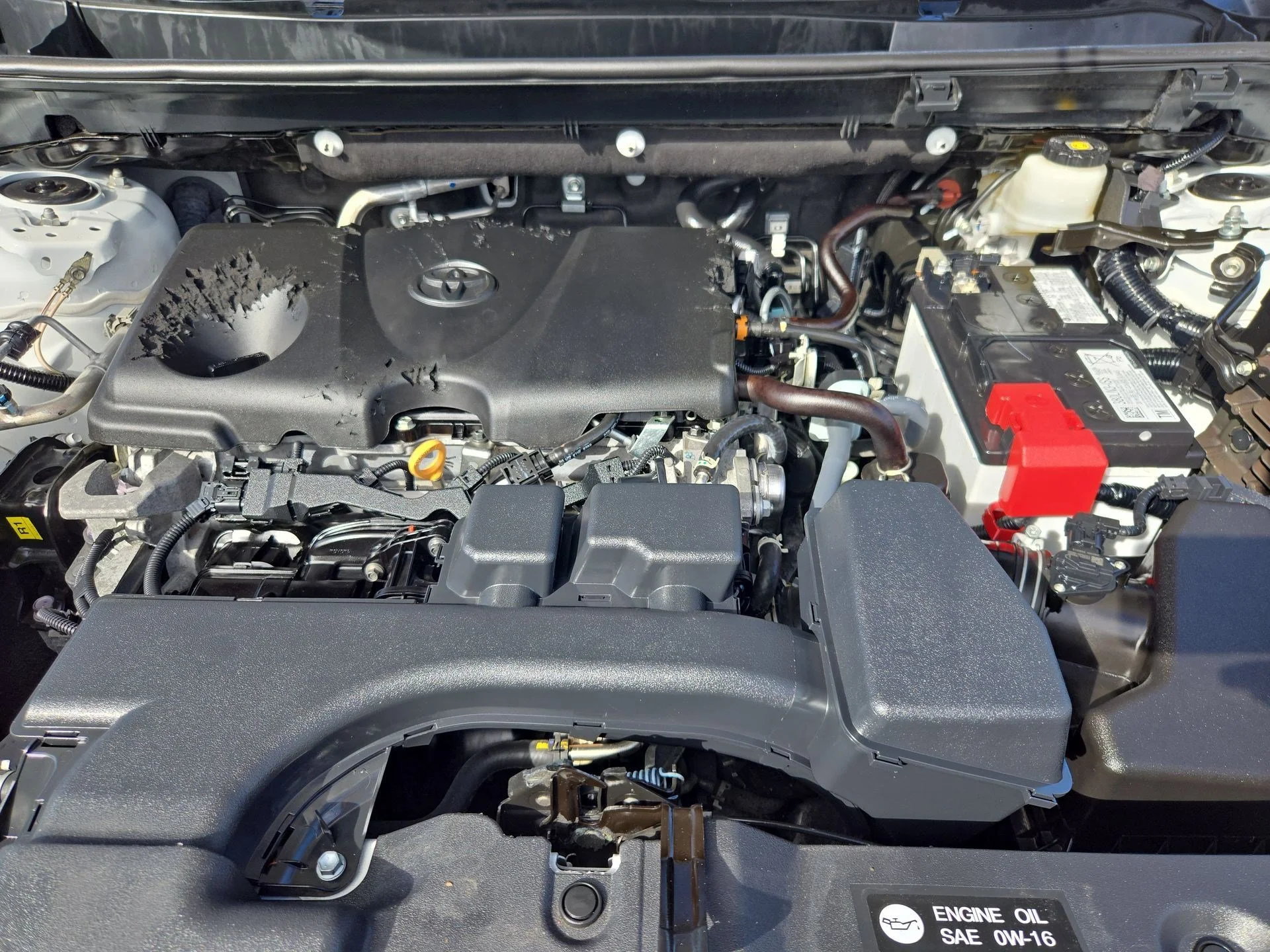 Used 2024 Wind Chill Pearl Toyota XLE image 32