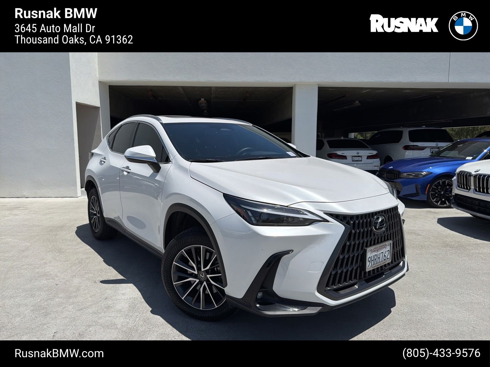 2024 Lexus NX 350 350 AWD's photo