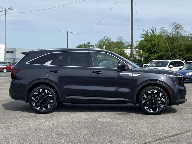 New 2026 Panthera Metal Kia SX image 2