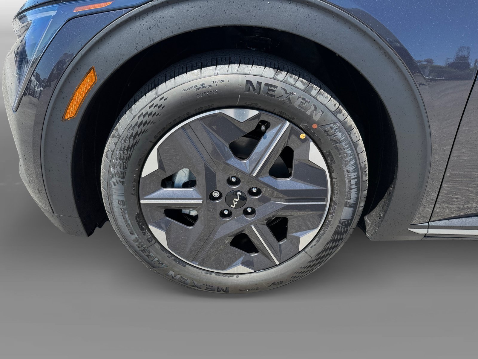 New 2026 Panthera Metal Kia LIGHT image 9