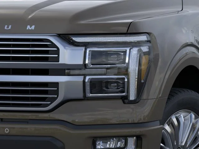 New 2026 Gray Ford Platinum image 18