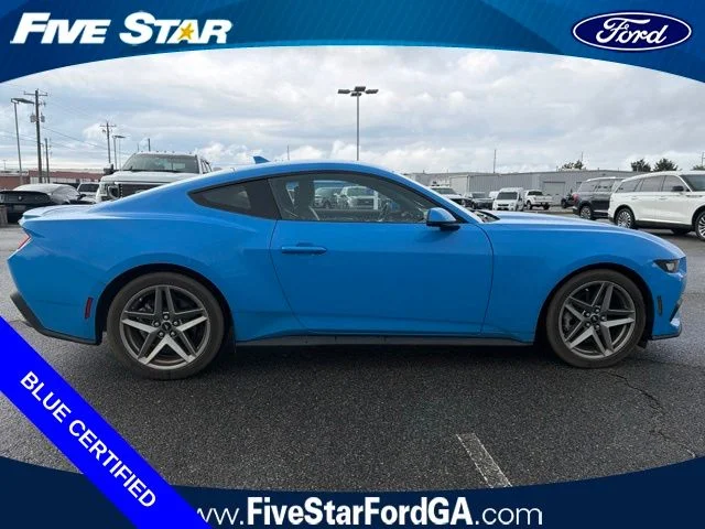 Used 2024 Grabber Blue Ford EcoBoost Premium image 2