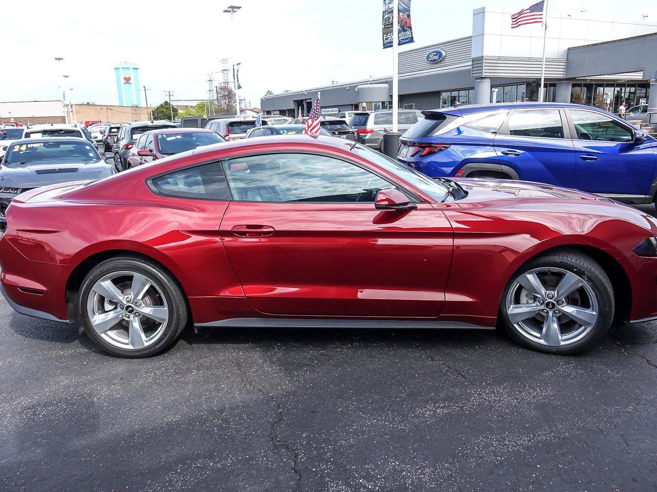 Used 2019 Ruby Red Metallic Tinted Clearcoat Ford EcoBoost Premium image 11