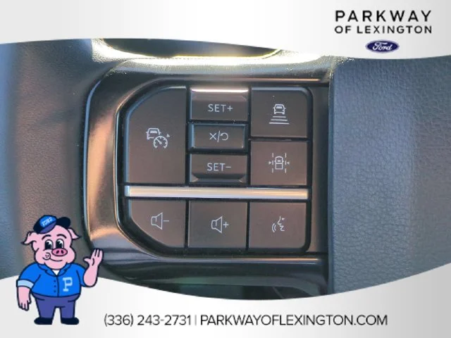 Used 2024 White Ford Platinum image 17