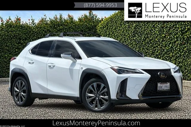 2020 Lexus UX 200 F SPORT