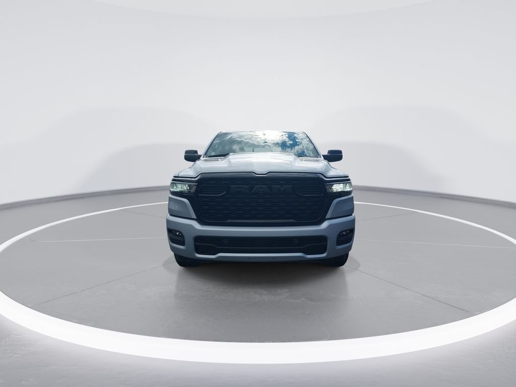 New 2026 Silver Zynith Exterior Paint RAM Express image 3