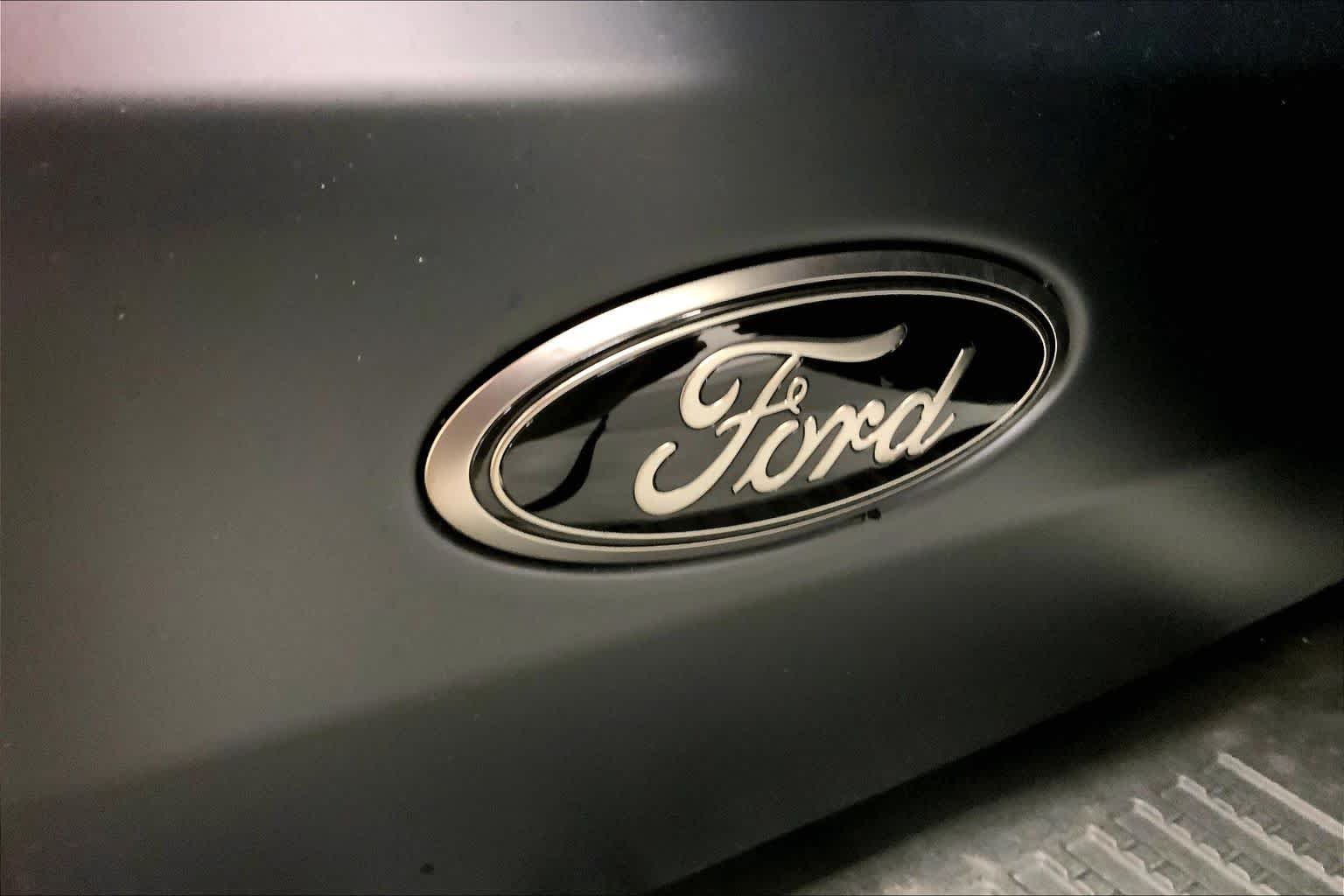 New 2025 Oxford White Ford Stroppe Edition image 12