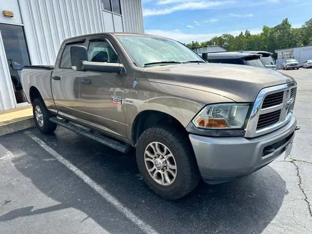 Used 2010 Tan Dodge ST image 2