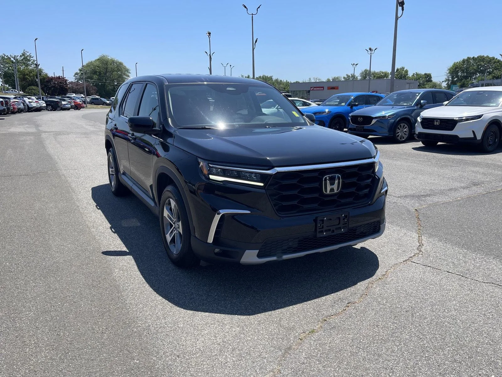 2023 Honda Pilot EX-L 8-Occupant AWD's photo