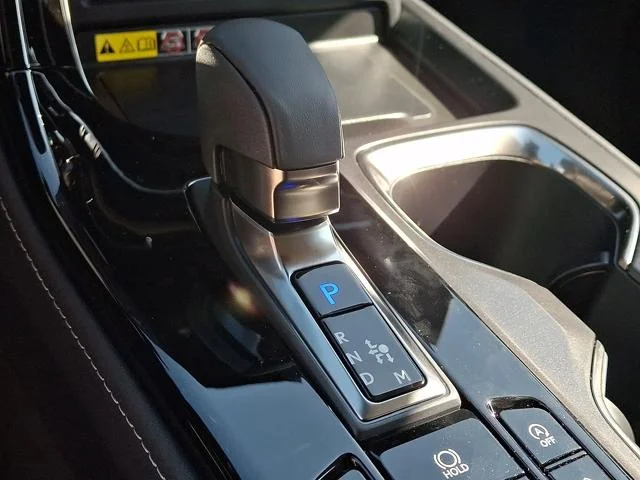 New 2026 Caviar Lexus PREMIUM image 19