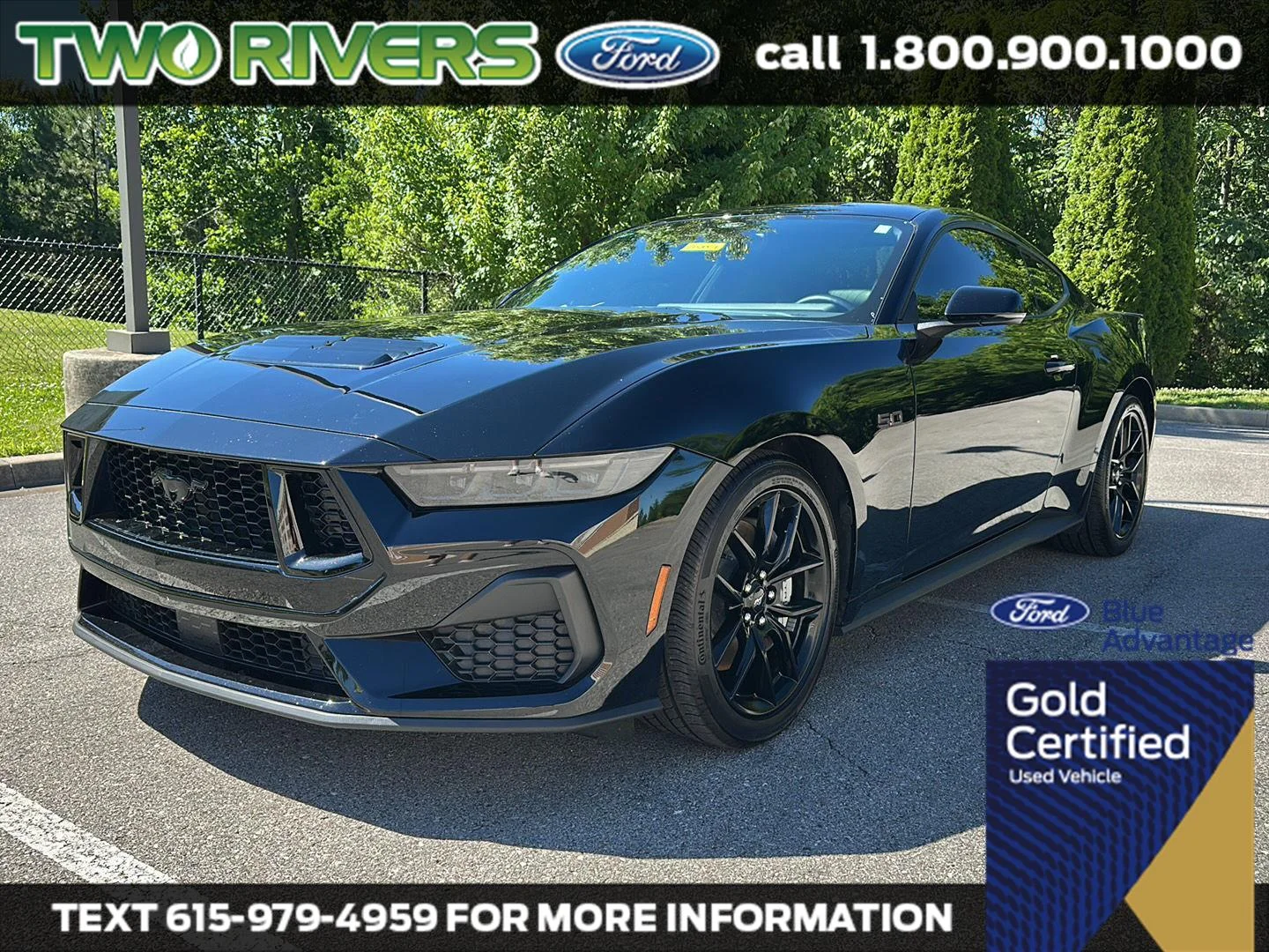 2025 Ford Mustang GT Premium Fastback's photo