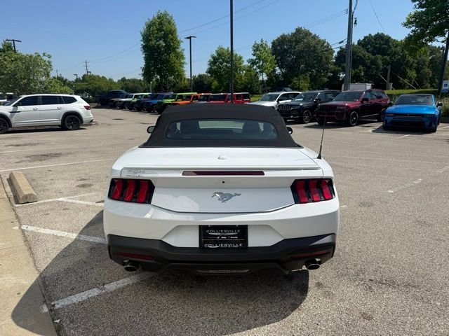 Used 2024 White Ford EcoBoost Premium image 5