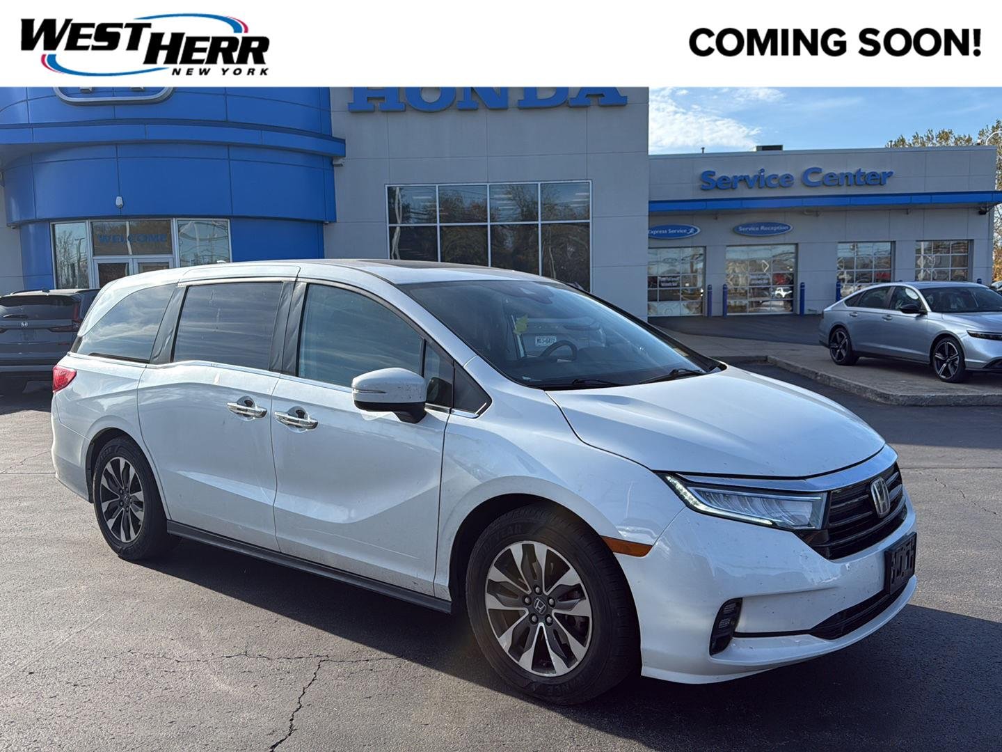 Used 2021 Platinum White Pearl Honda EX-L image 1