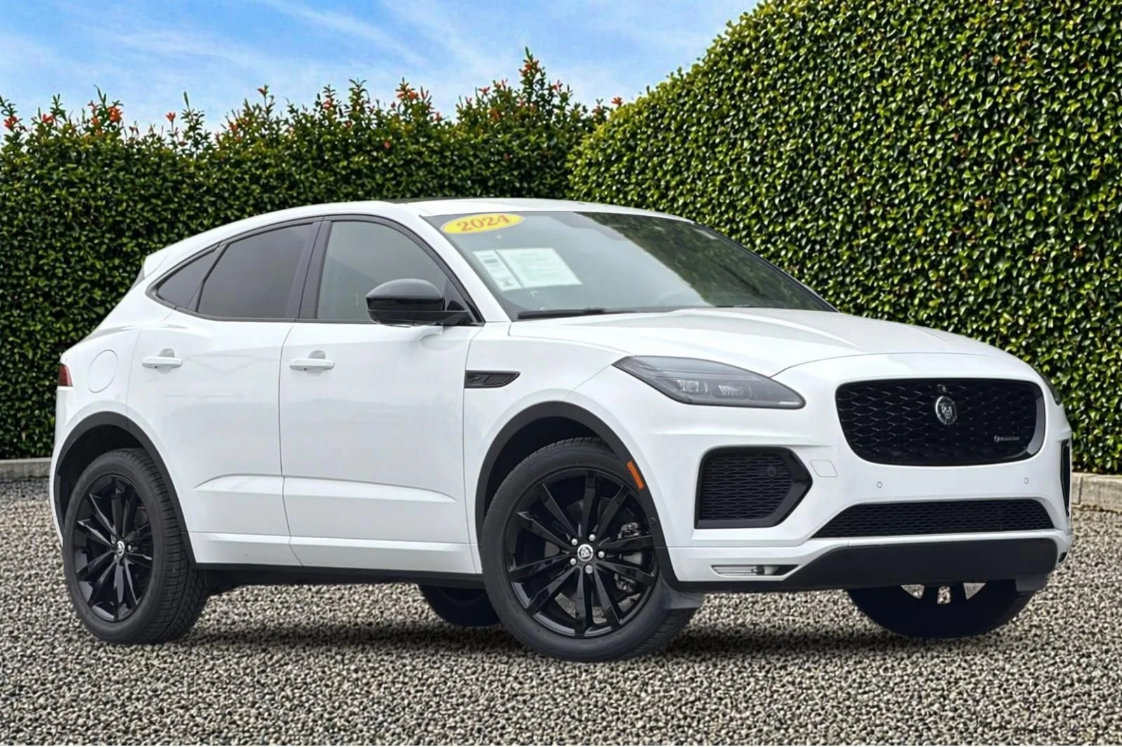 Used 2024 White Jaguar P250 image 1