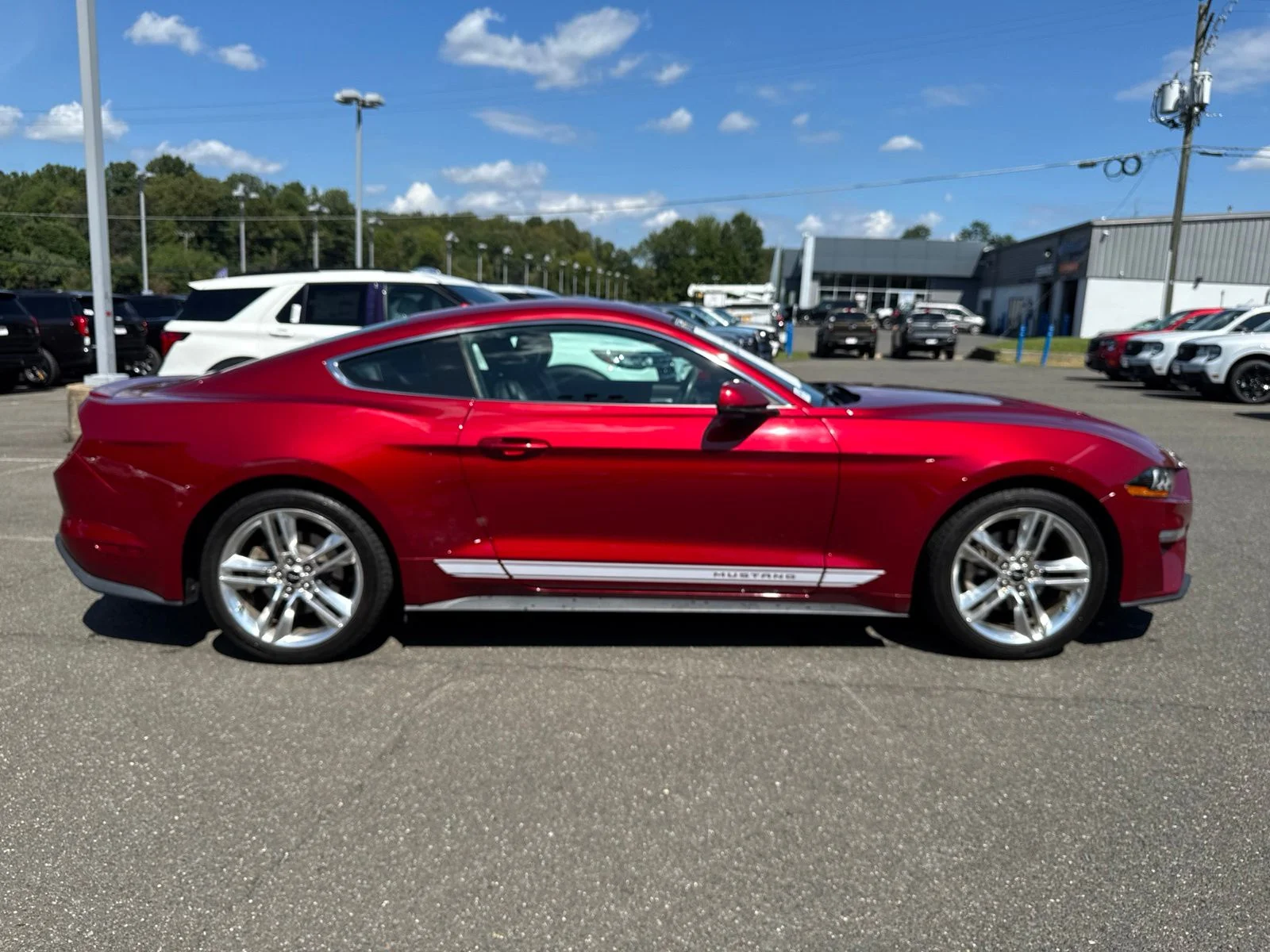 Used 2018 Red Ford EcoBoost Premium image 15