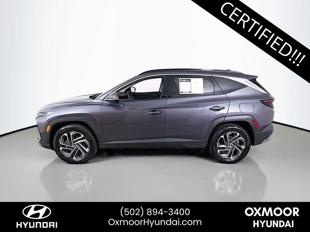Used 2025 Titan Gray Hyundai Limited image 4