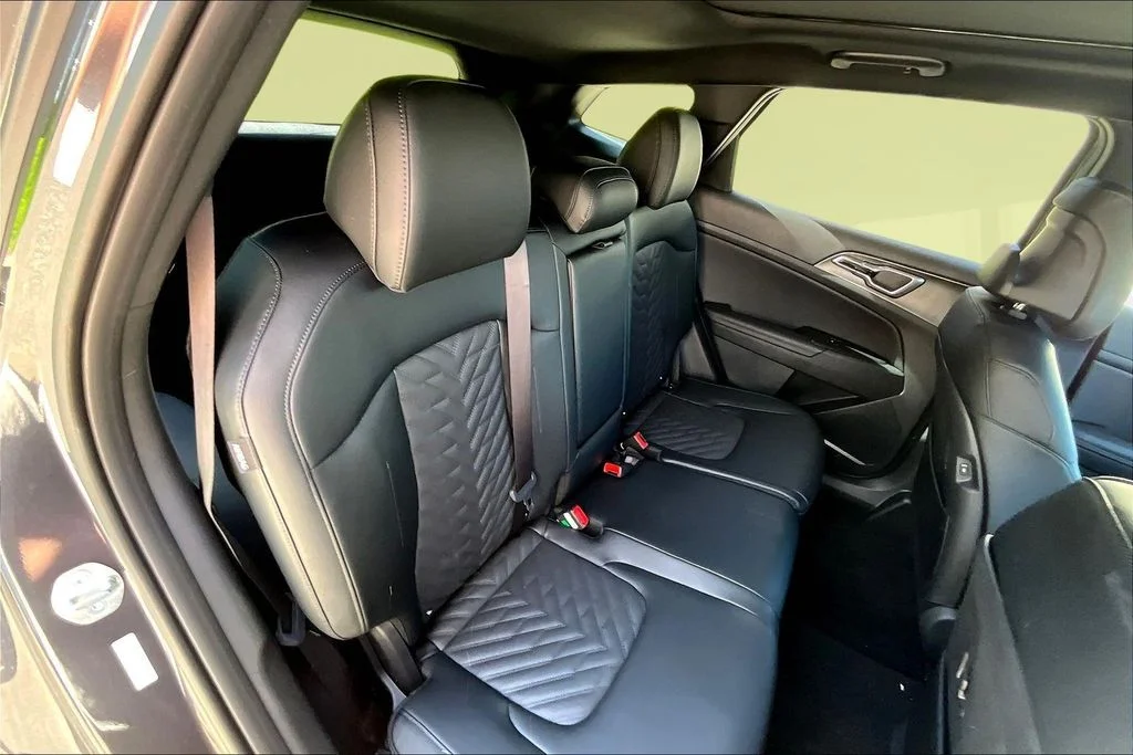 New 2026 Panthera Metal Kia X-Line image 10