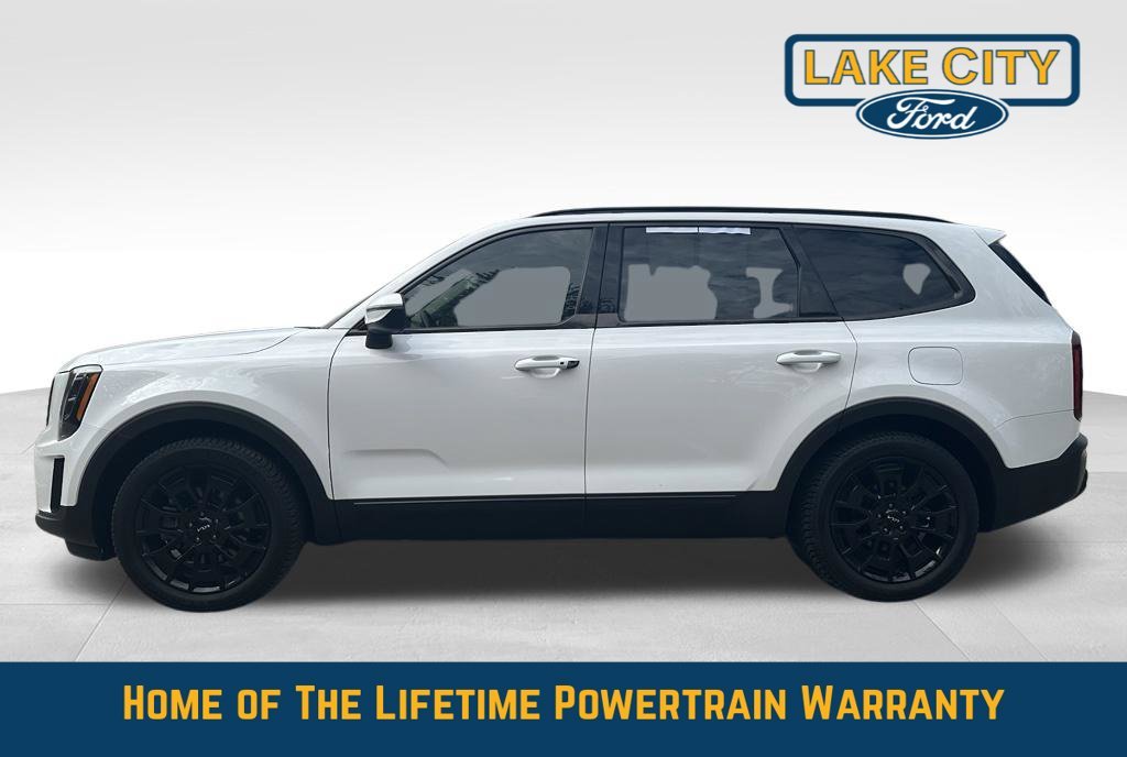 Used 2022 Kia Telluride EX with VIN 5XYP3DHC5NG246300 for sale in Lake City, Minnesota