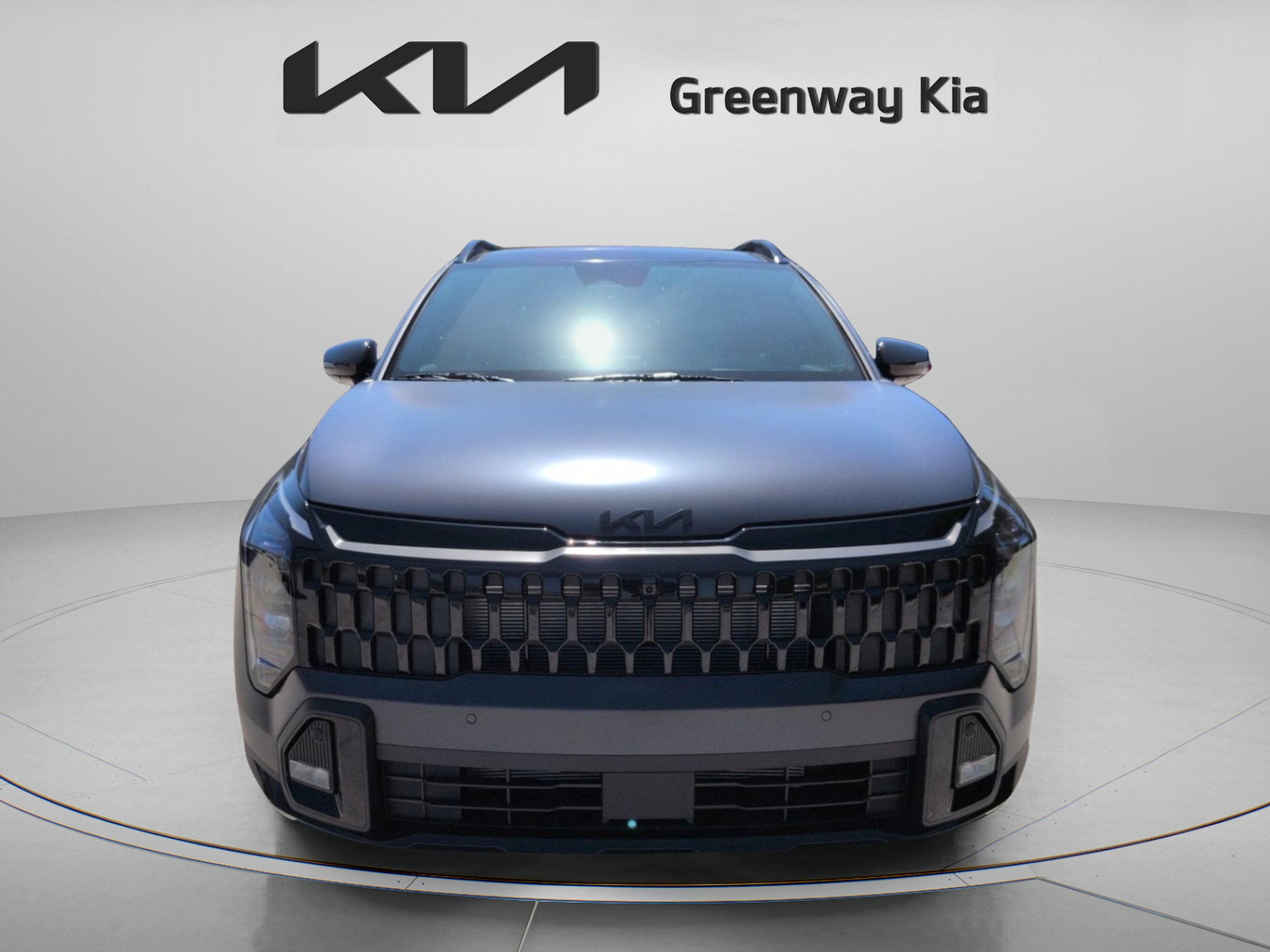 New 2026 Panthera Metal Matte Kia X-Line image 3