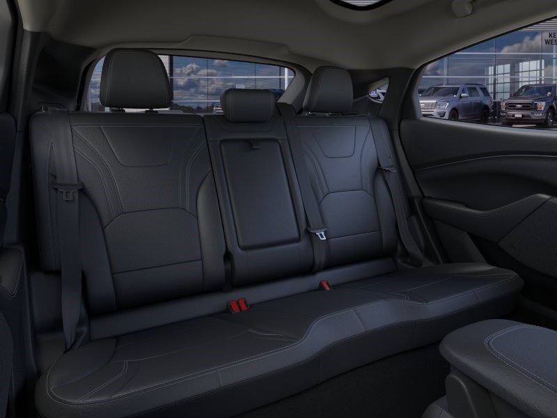 New 2026 Shadow Black Ford Premium image 12