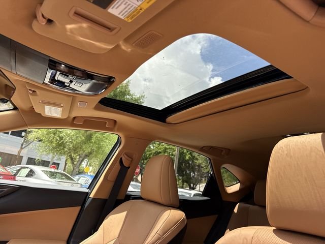 2025 Lexus NX 250 - Photo 22