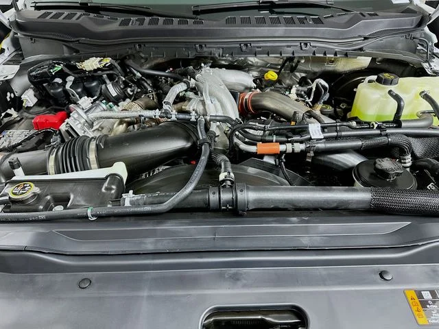 New 2026 White Ford Platinum image 23