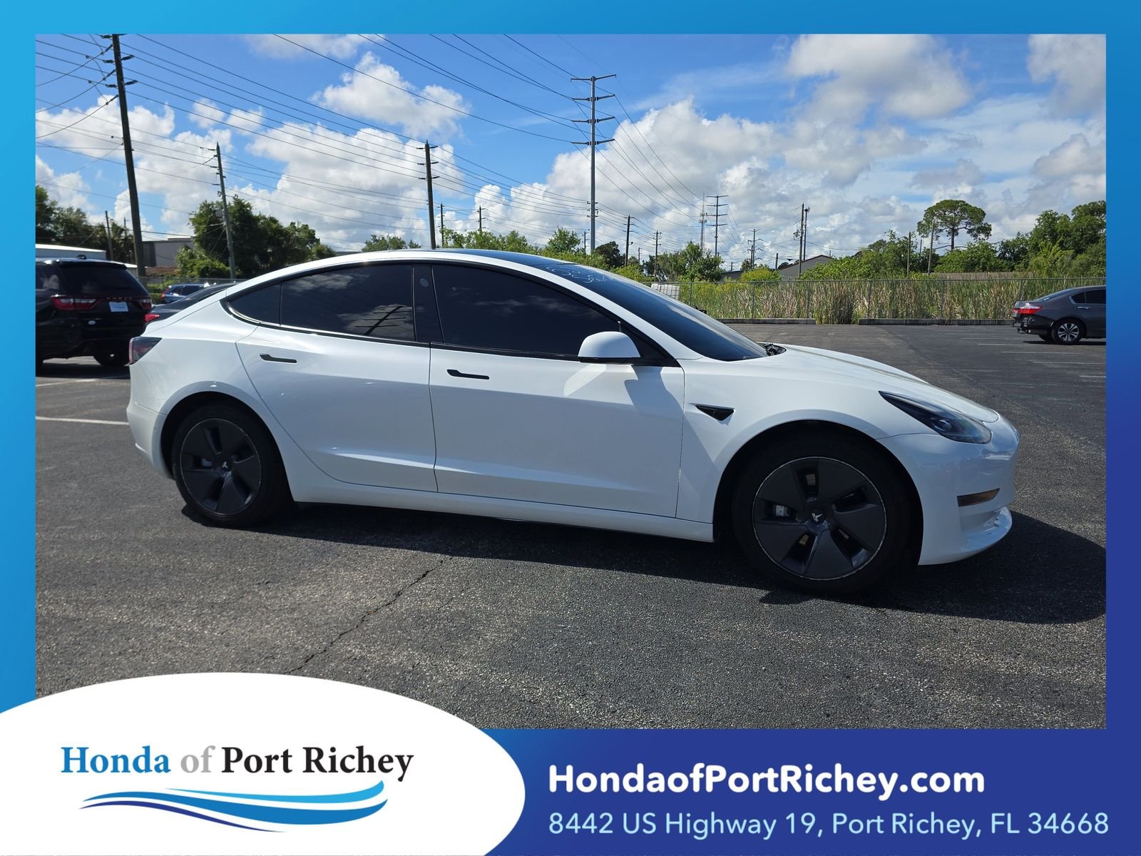 2022 Tesla Model 3 Long Range Dual Motor All-Wheel Drive's photo