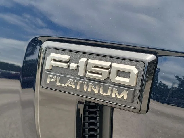 New 2026 Blue Ford Platinum image 9