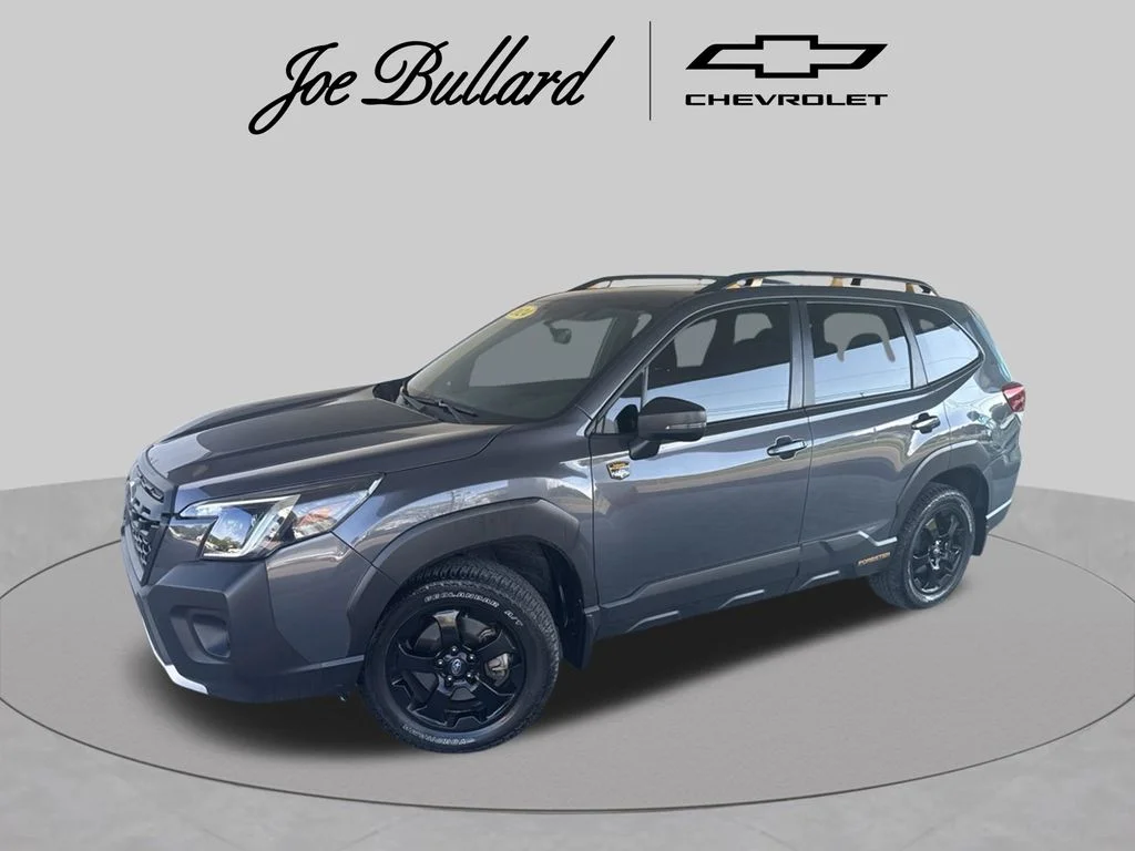 Used 2024 Gray Metallic Subaru Wilderness image 1