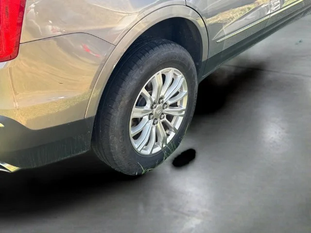 Used 2019 Brown Cadillac Base image 12