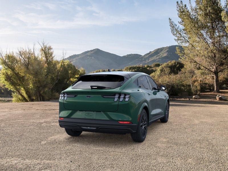 New 2026 Eruption Green Metallic Ford Premium image 30