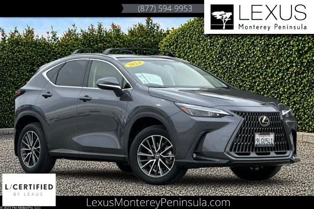 2024 Lexus NX 250 Premium